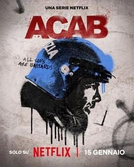 灰色秩序 A.C.A.B. La serie