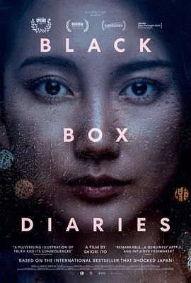 黑箱日记 Black Box Diaries