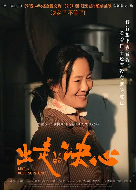 出走的决心 (2024) 国语中字（无损4K）又名: 婚姻往事 / 亲爱的妈妈