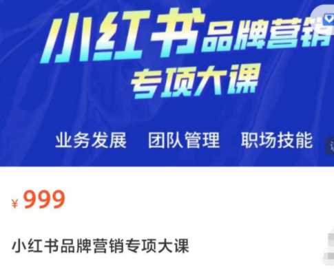 小红书品牌营销专项大课，操盘手进阶课，价值699元