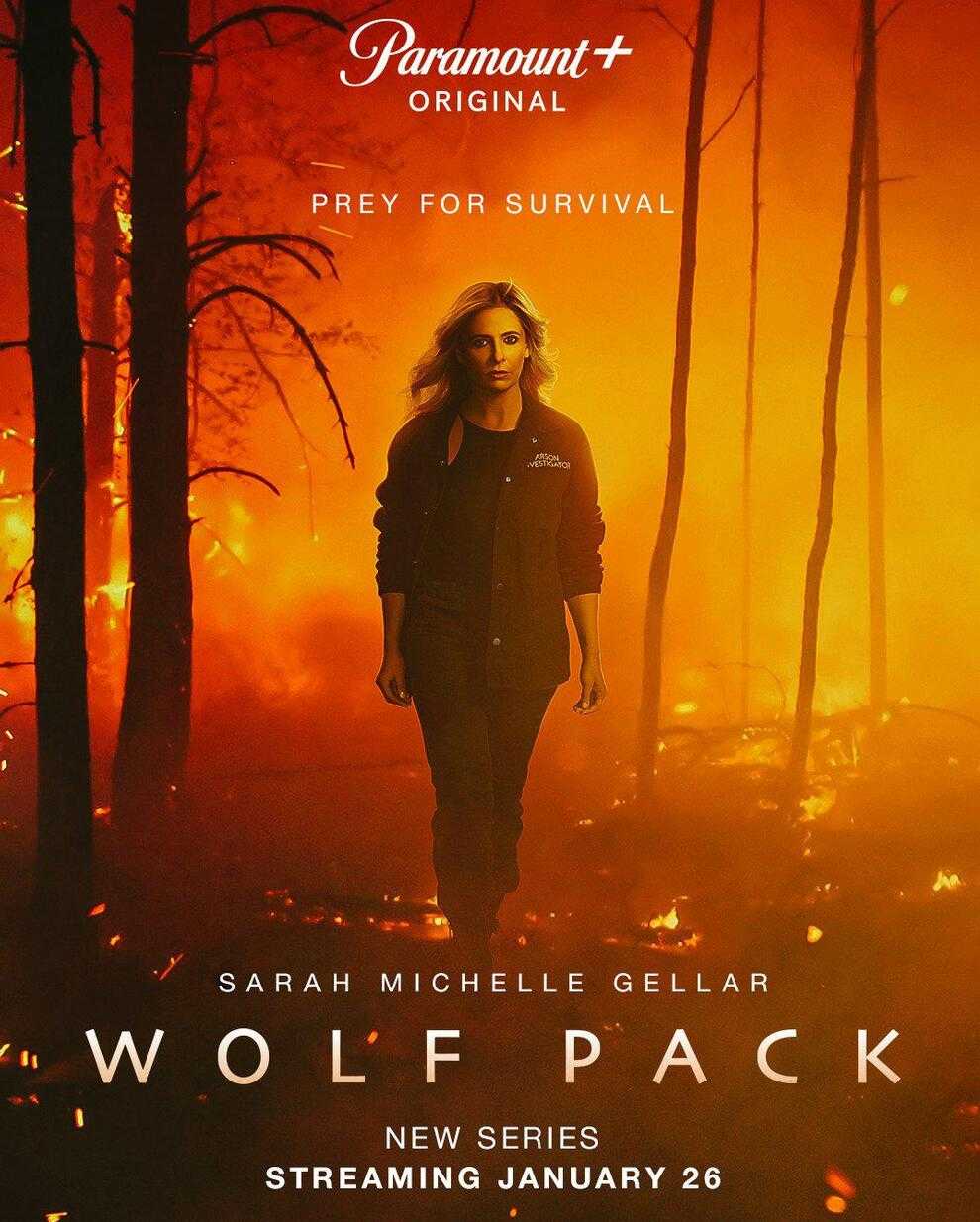 《狼群 Wolf Pack》2023 最新上映美剧 【4K 2160P】外挂字幕 共6集更新中