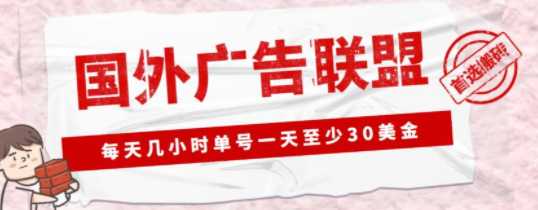 收费1980的最新国外LEAD广告联盟搬砖项目，单号一天至少30美金