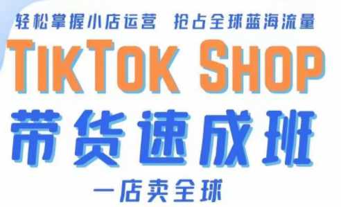 TikTok带货速成班（备战全球流量），一店卖全球