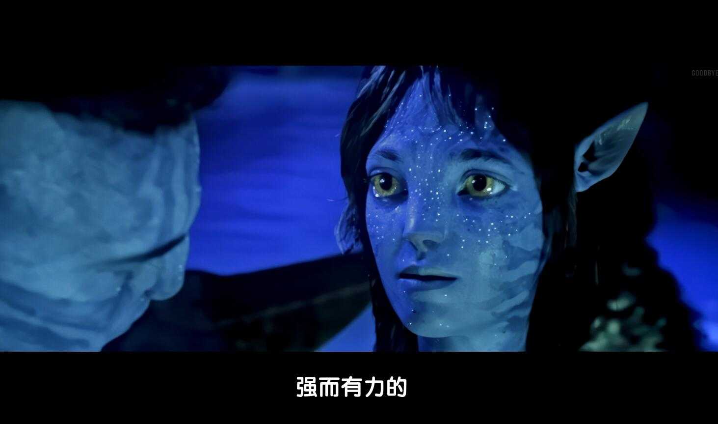 2022《阿凡达：水之谈》4K郑再版 【4k UHD 杜比全景声】外挂中翰墨幕