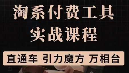 淘系付费工具实战课程【直通车、引力魔方】，战略优化方案