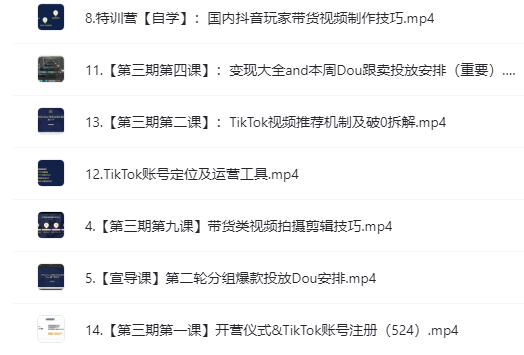 TIkTok电商变现实战课 TikTok Dou+特训营 C++从0到1系统精讲项目开发综合基础课