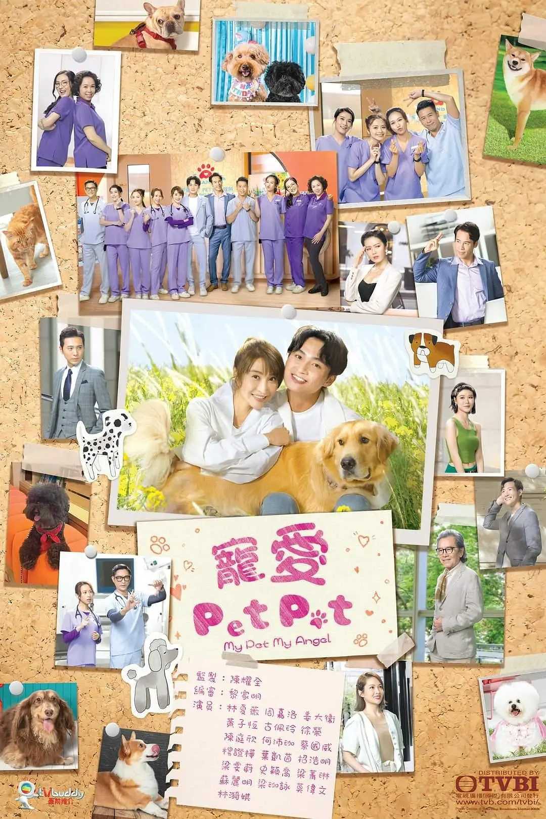 【TVB新剧】宠爱Pet Pet（翡翠台粤语中字）