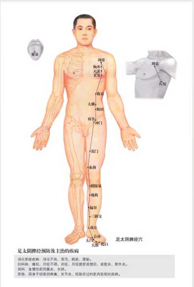 《人体经络使用图册》（全彩真人版）作者：蓝晓步 刘娅玲 纪剑峰【PDF】