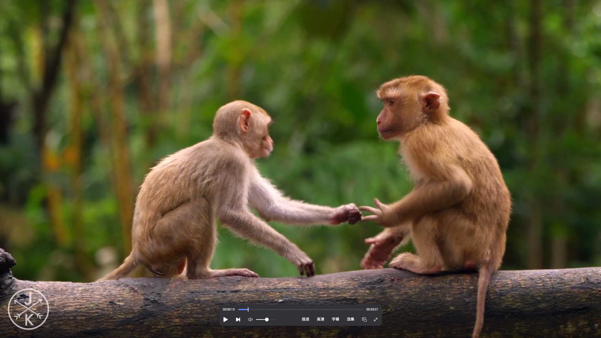 4K 风景音乐素材