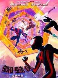 蜘蛛侠：纵横宇宙 Spider-Man: Across the Spider-Verse (2023)