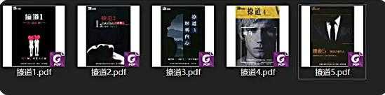 《撩道》（1-5系列）作者：舞步情感【PDF】