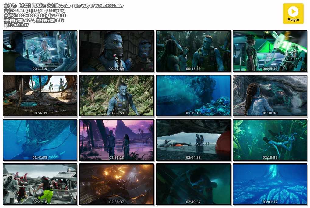 阿凡达：水之道 Avatar：The Way of Water.2022【龙网】【1080P】