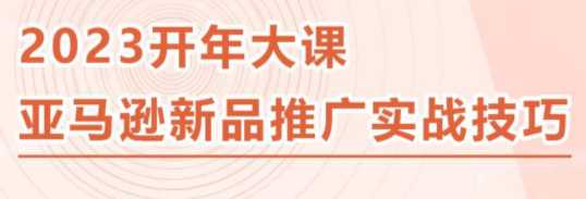 2023亚马逊新品推广实战技巧，简单可复制，实操性强的推广