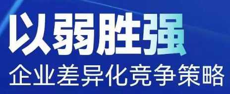 以弱胜强，企业差异化竞争策略