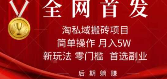 淘私域搬砖项目，利用信息差月入5W，每天无脑操作1小时，后期躺赚