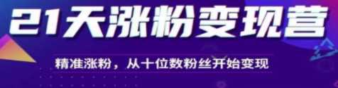 21天精准涨粉变现干货大课：从10位粉丝开始变现月增5000+变现20w+