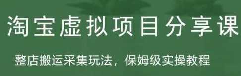 陶宝虚拟整店搬运采集玩法分享课，保姆级实操教程