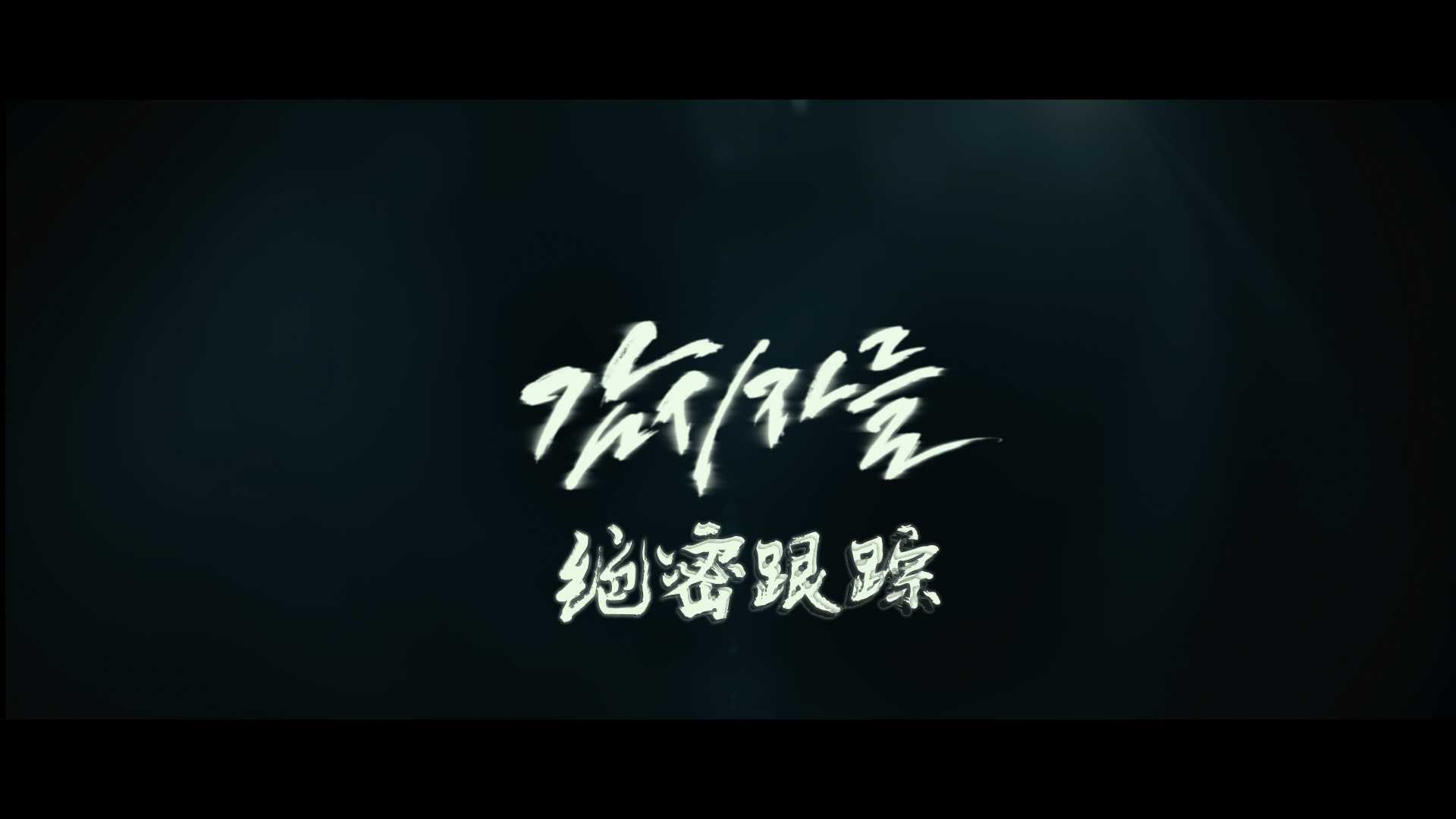 《绝密跟踪》 1080p原盘REMUX  27.5Mb/s【中韩双语】【简繁 特效】【27.2GB】