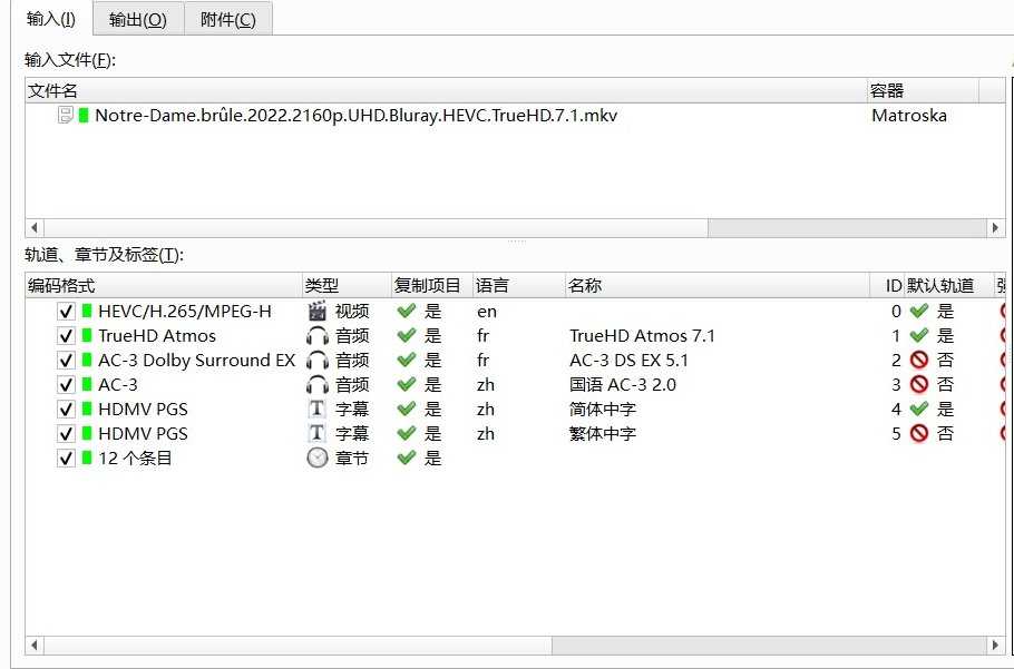 《燃烧的巴黎圣母院》4K REMUX 75Mb/s【杜比视界】【中法双语】【简繁中字】【61.5GB 】