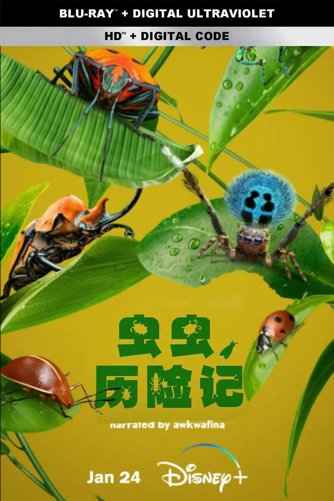 🐞🐞 [虫虫历险记 ]🐞🐞（2024）（1080P）（5集全）（中字）（纪录片）