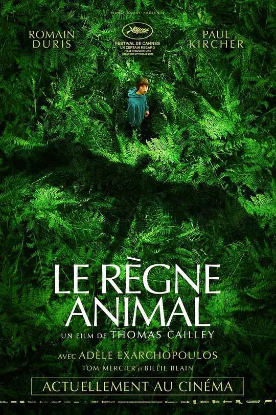 动物王国 Le règne animal (2023)【1080P】中文字幕