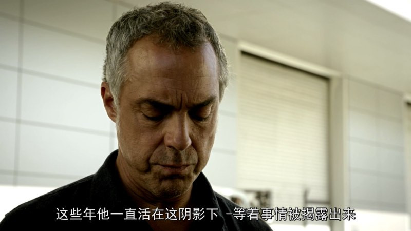 《博斯 Bosch》S01-S07.全七季.1080p.WEB-DL.内封简中字幕 75G ￡cXcY@FRDS