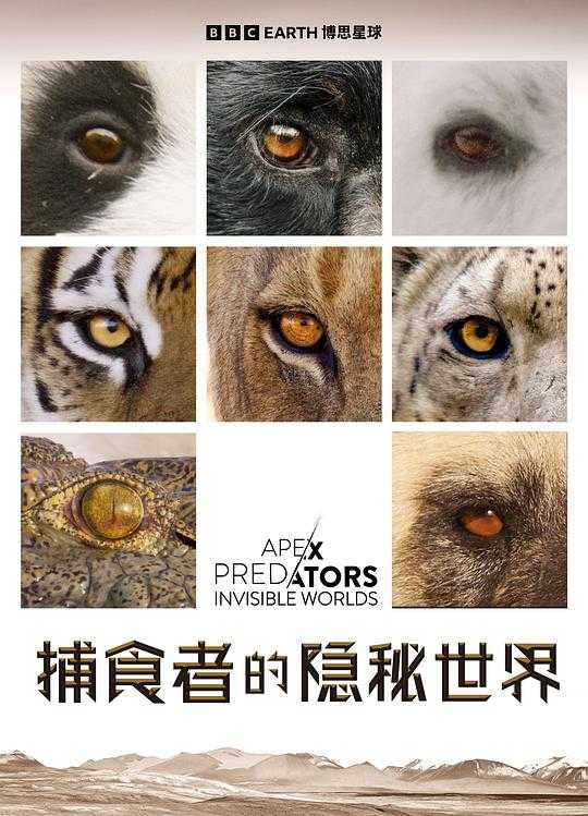  捕食者的隐秘世界 （全4集）（中字）（12G）Apex Predators: Invisible Worlds (2024)