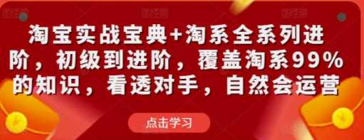 陶宝实战宝典+淘系全系列进阶，初级到进阶，覆盖淘系99%的知识