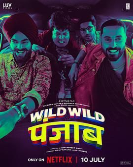 狂野分手团 Wild Wild Punjab