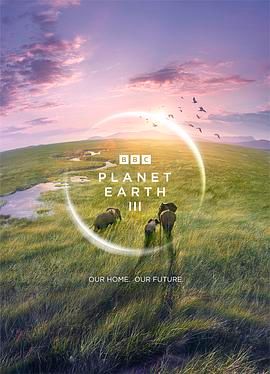 地球脉动 第三季 Planet Earth Season 3