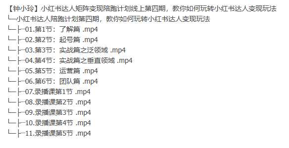 小红书达人矩阵变现陪跑计划线上第四期，教你如何玩转小红书达人变现玩法