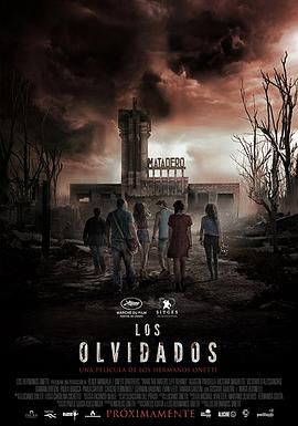 退水之后 Los olvidados