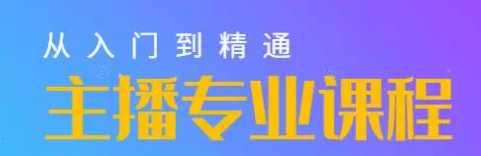 暴躁迪迪主播课，快速教你掌握主播底层逻辑，开场留人、塑品话术