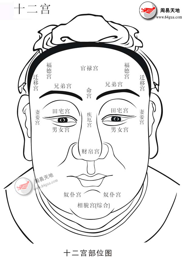 《图解麻衣神相》面相手相分析 一用就灵的权威相术大全 [pdf]