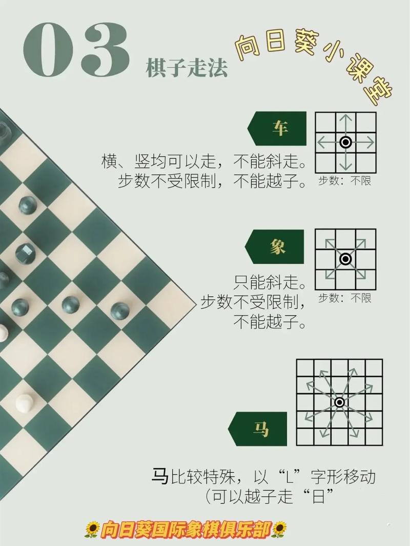 《国际象棋入门》修订本 棋牌图书编委会 [pdf]