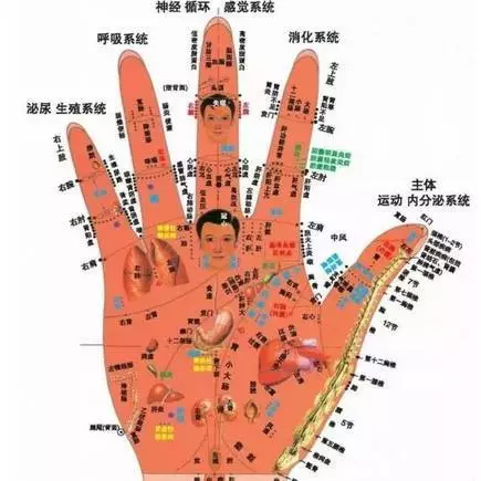 《3D男性经络穴位图册 》老中医养生堂 白金珍藏版 [pdf]