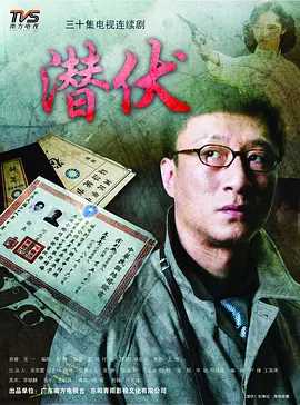 潜伏 (2008) 4K修复版（全30集）国语中字 主演: 孙红雷 / 姚晨 / 沈傲君