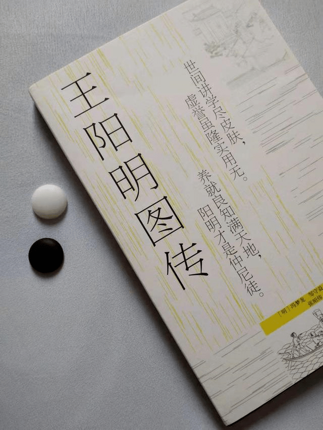 《王阳明》王阳明传奇人生和心学智慧的通俗读本 [pdf]