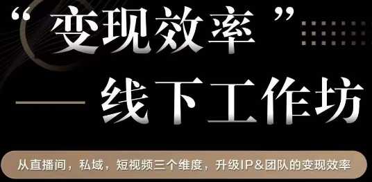 变现效率线下工作坊，从直播间、私域、短视频三个维度，升级IP团队的效率变现