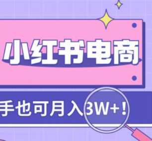 小红书电商陪跑营4.0，从0到1把小红书做起来，新手也能月入3万