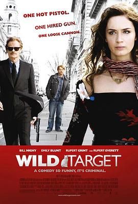 狂野目标 Wild Target