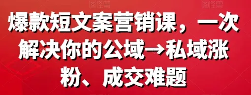 爆款短文案营销课 一次解决你的公域 私域涨粉、成交难题