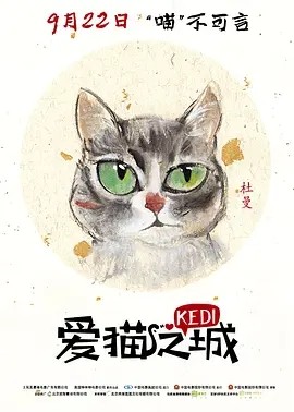 爱猫之城 Kedi (2016)丨8.3分