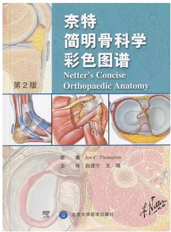 《奈特简明骨科学彩色图谱》高清中文版 450幅骨科解剖图 了解身体 [pdf]