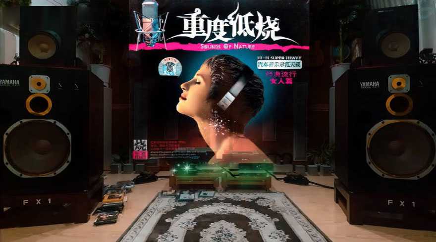 重度低烧-经典流行女人篇3CD 共51首，圆润性感的声音感受音乐幻想 [WAV+2.3GB]