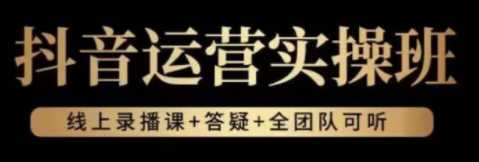 抖音运营实操班，掌握让直播间人气飙升的方法